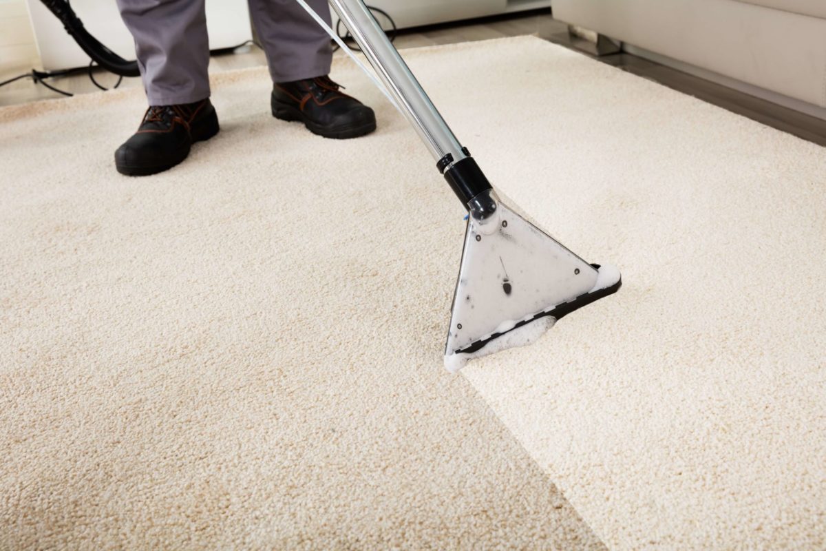 Carpet being cleaned by a profession carpet cleaner