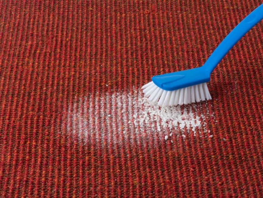 cleaning carpet with enzymes