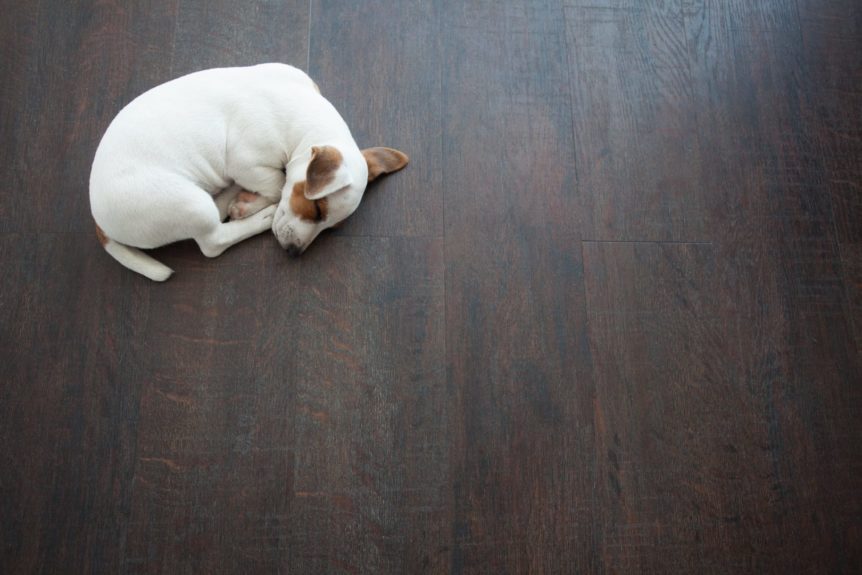 pet friendly flooring pros and cons
