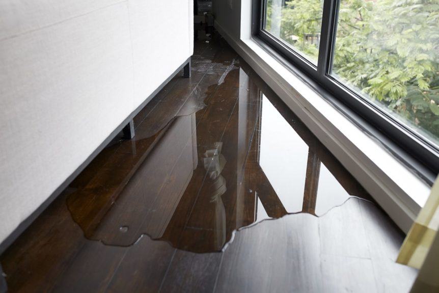 water damage on wood floor