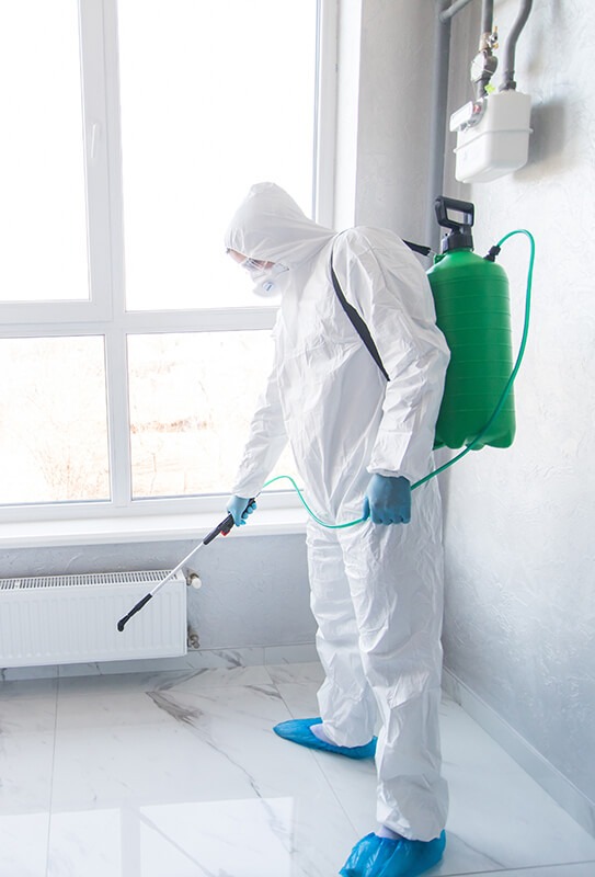 Professional Restoration technician cleaning a room.