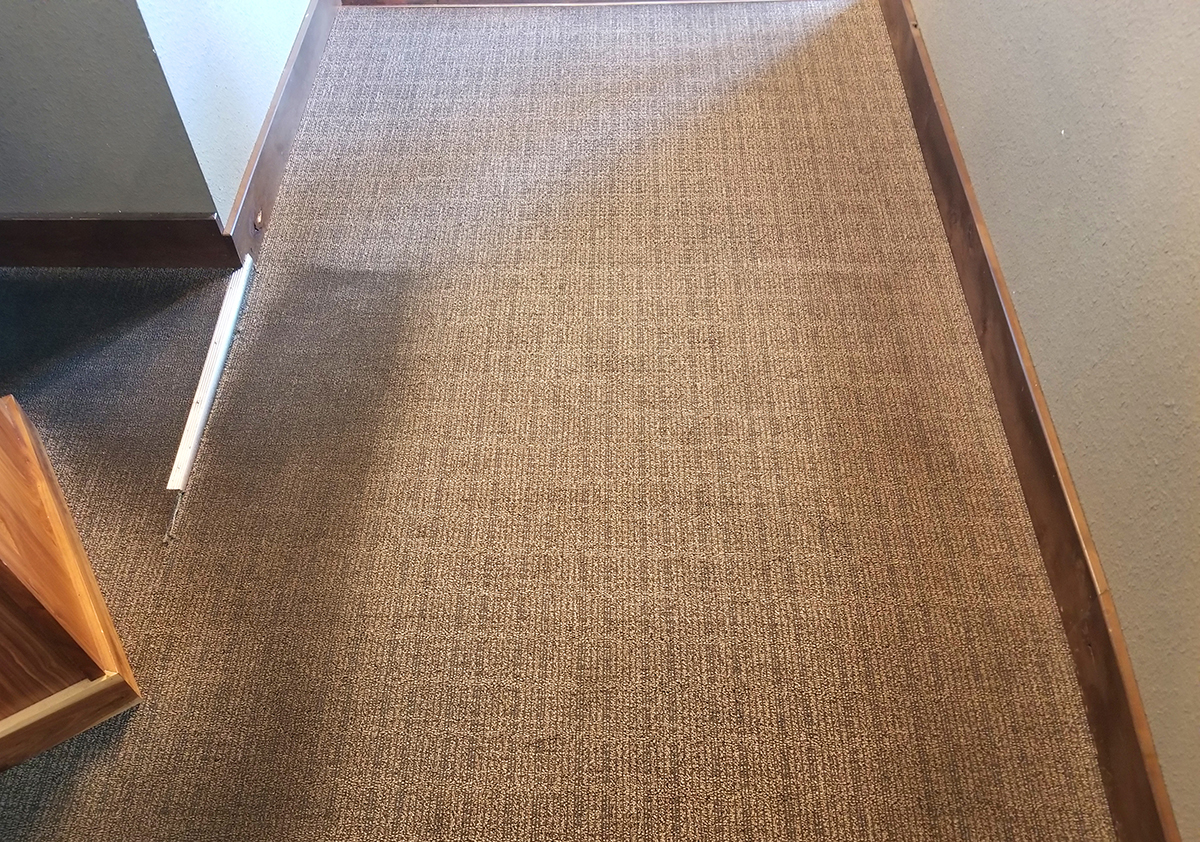 Carpet in need of professional cleaning